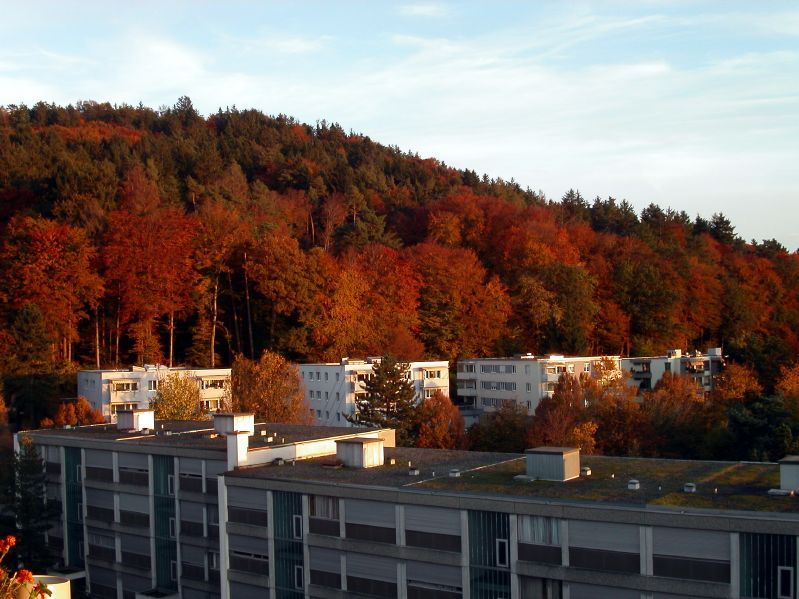 Herbststimmung an der Lngfeldstrasse